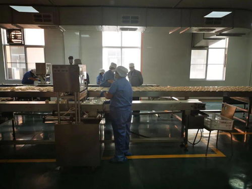 陜西五大供應鏈行業(yè)標桿企業(yè)創(chuàng)始人齊聚，分享數(shù)字化轉型之路與西安網(wǎng)站建設經(jīng)驗